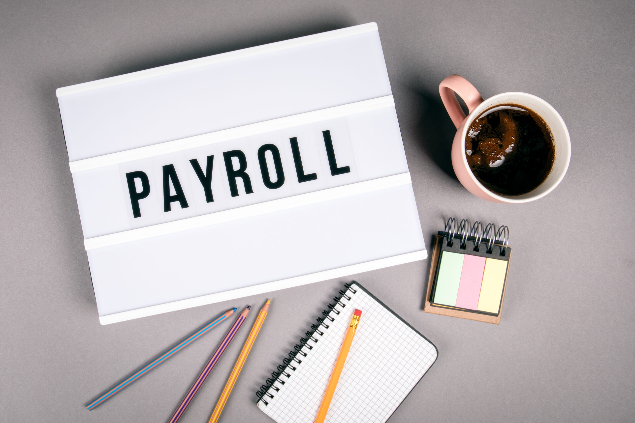 Payroll & Auto-Enrolment Services